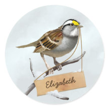 White Throated Sparrow Pas Naam aan