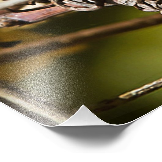 White Throated Sparrow Square Print Foto Afdruk (Hoek)