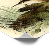 White Throated Wren Poster (Hoek)