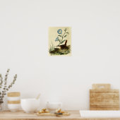 White Throated Wren Poster (Keuken)