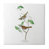 White Throted Sparrow John Audubon Birds America Tegeltje (Voorkant)