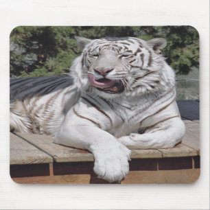 White Tiger 10 Mousepad Muismat