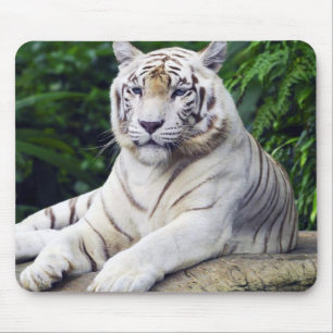 White Tiger 1 Mousepad Muismat