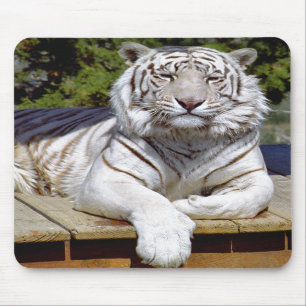 White Tiger 9 Mousepad Muismat