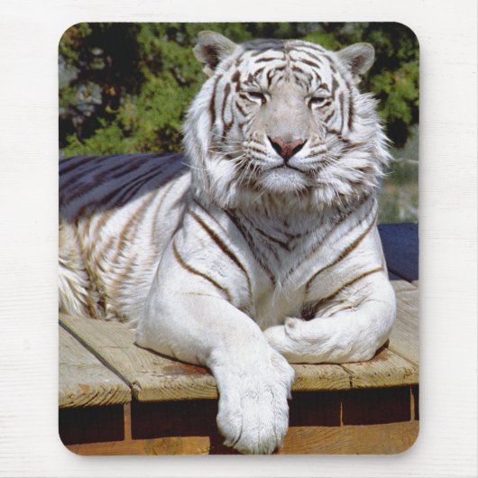 White Tiger 9 Mousepad Muismat (Voorkant)