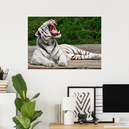 White Tiger, Bengal Tiger Poster (Thuiskantoor)