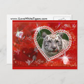 White Tiger Briefkaart (Voorkant / Achterkant)