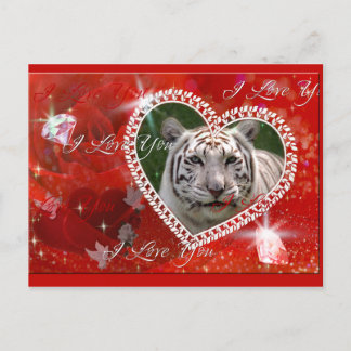 White Tiger Briefkaart