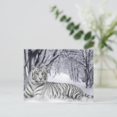 White TIger Briefkaart (Staand voorkant)