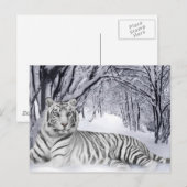 White TIger Briefkaart (Voorkant / Achterkant)