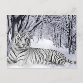 White TIger Briefkaart