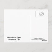 White Tiger Briefkaart (Achterkant)