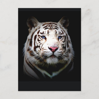 White Tiger Briefkaart