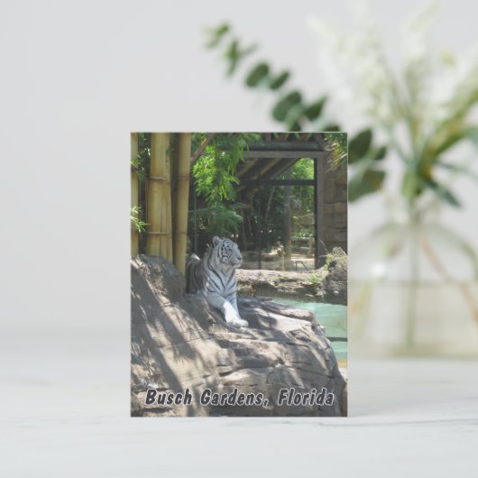 White Tiger Briefkaart (Staand voorkant)