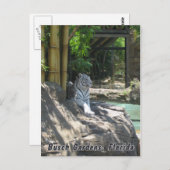 White Tiger Briefkaart (Voorkant / Achterkant)