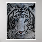 White Tiger - Casper Poster (Voorkant)