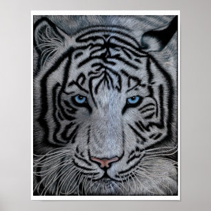 White Tiger - Casper Poster