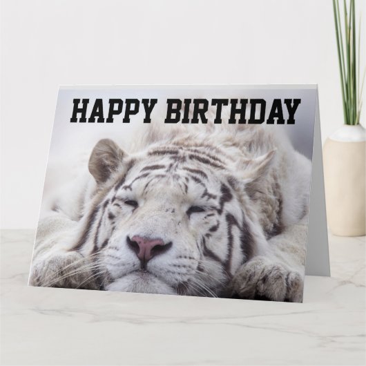 WHITE TIGER CAT NAP, EAT CAKE, BIRTHDAY BIG KAART (Voorkant)