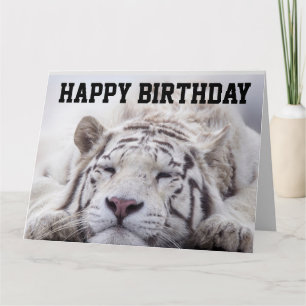 WHITE TIGER CAT NAP, EAT CAKE, BIRTHDAY BIG KAART