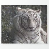 White Tiger close-up Cadeaupapier (Vlak)