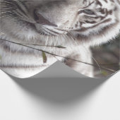 White Tiger close-up Cadeaupapier (Hoek)