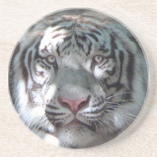 White Tiger close Zandsteen Onderzetter (Voorkant)