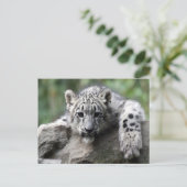 White Tiger Cub Briefkaart (Staand voorkant)