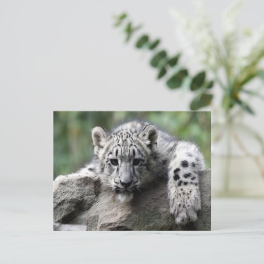 White Tiger Cub Briefkaart (Staand voorkant)
