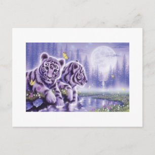 White Tiger Cubs Briefkaart