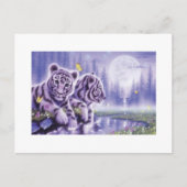 White Tiger Cubs Briefkaart (Voorkant)