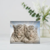 White Tiger Cubs Briefkaart (Staand voorkant)