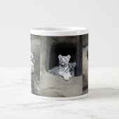 WHITE TIGER CUBS GROTE KOFFIEKOP (Voorkant)