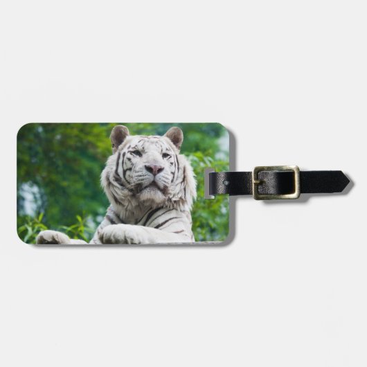 White Tiger custom bagagelabel (Voorkant horizontaal)
