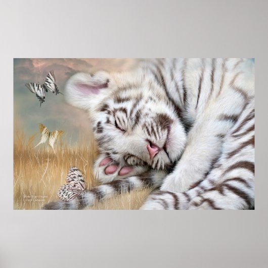 White Tiger Dreams Fine Art Poster/Print Poster (Voorkant)