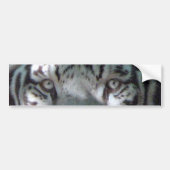 White Tiger Eyes Bumpersticker (Voorkant)