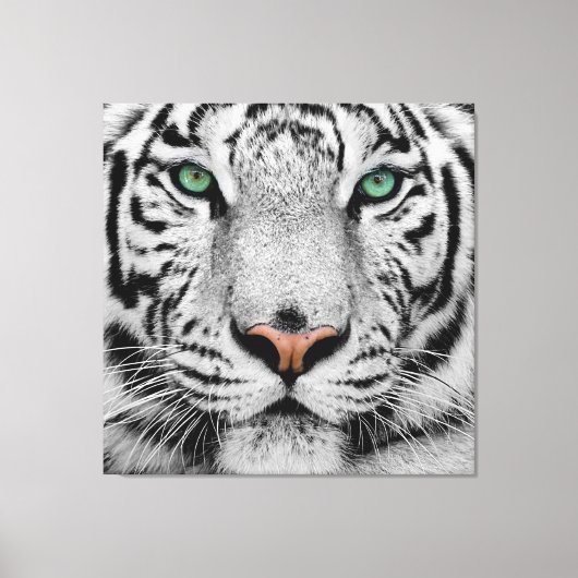WHITE TIGER FACE CLOSE-UP CANVAS AFDRUK (Voorkant)