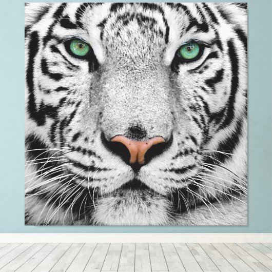 WHITE TIGER FACE CLOSE-UP CANVAS AFDRUK (Insitu (Houten vloer))