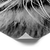 White Tiger Face Print (Hoek)