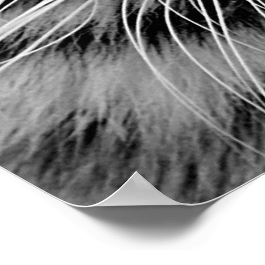 White Tiger Face Print (Hoek)