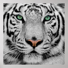 White Tiger Face Print