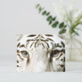 White Tiger Feng Shui Invitation ~ EZ2 Customize Kaart (Staand voorkant)