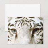 White Tiger Feng Shui Invitation ~ EZ2 Customize Kaart (Voorkant / Achterkant)