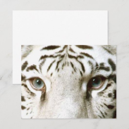 White Tiger Feng Shui Invitation ~ EZ2 Customize Kaart (Voorkant / Achterkant)