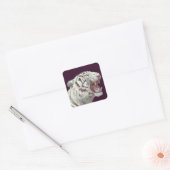 White Tiger Fierce Pose – Sticker (Envelop)