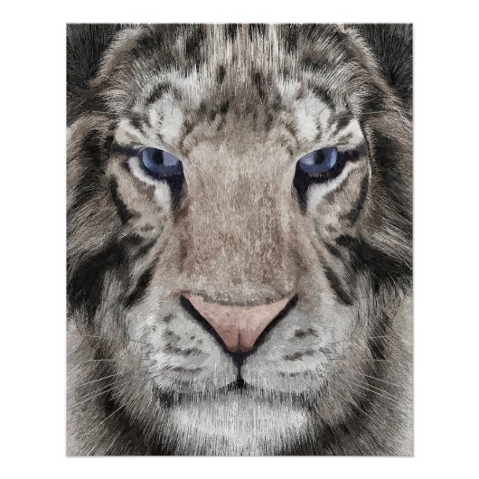 White Tiger Head  Perfect Poster (Voorkant)