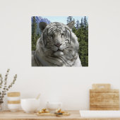 WHITE TIGER in zijn BOEST HABITAT Poster (Keuken)