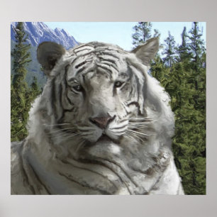 WHITE TIGER in zijn BOEST HABITAT Poster