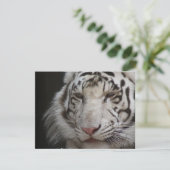 White Tiger Invitation Kaart (Staand voorkant)