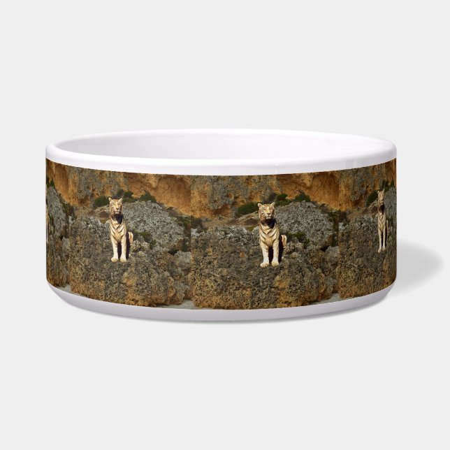 White Tiger Lookout,    Voerbakje (Voorkant)