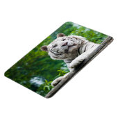 White Tiger magnet Magneet (Linkerzijde)